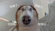 shiyuq的个人资料头像