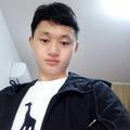 绿叶凌期兵景语头像