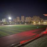 你家Q老板头像