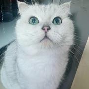 lj537的个人资料头像