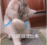 专业填坑的个人资料头像