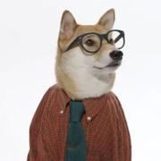 SnowGuest的个人资料头像