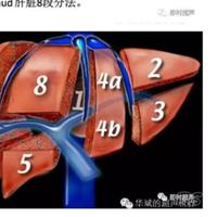 -He修人生头像