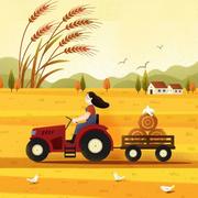 海萍果的个人资料头像