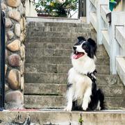 lius的个人资料头像