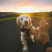 晨风不知意的个人资料头像