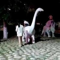 香草3m1J头像