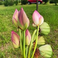 眯眯眼先生394头像