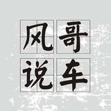 疯评车事头像