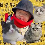 yy3530482366675头像