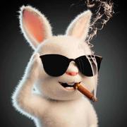 重生61的个人资料头像