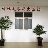 小浦贸易头像