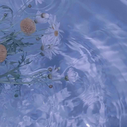 緢的个人资料头像