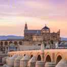 一如既往就是我99405的个人资料头像