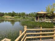 JX_zzj的个人资料头像