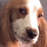 法克大姐的男人头像