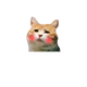 心事耽耽头像