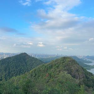 梦里踏乡头像