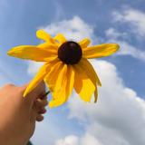 甘南迭部思金拉措旅行社头像
