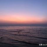 象虫虫飞头像