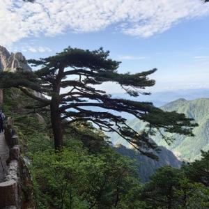 青山绿水6H5c头像