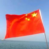 鑫哥5340头像
