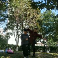 等风来不如追风去403头像