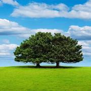 媛媛405的个人资料头像