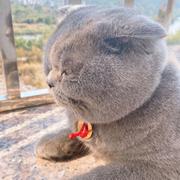 Ln702的个人资料头像