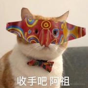 lan的个人资料头像