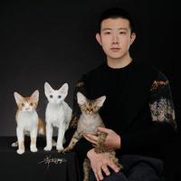 养猫的昊子头像