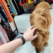 小新12138的个人资料头像