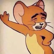 WHY的个人资料头像