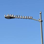 Summer381的个人资料头像