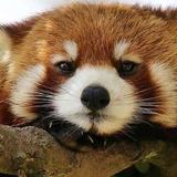 用户10904267957头像