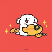 学不会也得学的个人资料头像