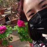宽永顺头像