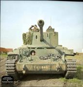 风息落灰的个人资料头像