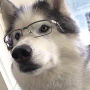 没有故事的人的个人资料头像