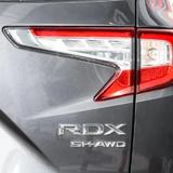 RDX智享头像