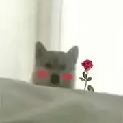 Chanrich的个人资料头像