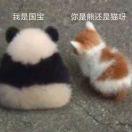 酱的个人资料头像