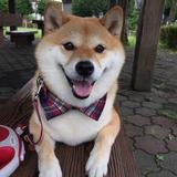 韩季淞头像
