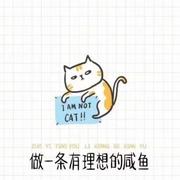 54231的个人资料头像