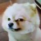 天王盖土也虎 · AION Y车主·车龄1年头像