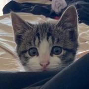 Malcolm962的个人资料头像