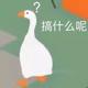 用户9920743392936头像