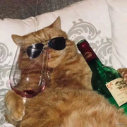 haoo的个人资料头像