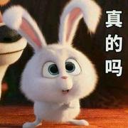 躺平的小孩的个人资料头像