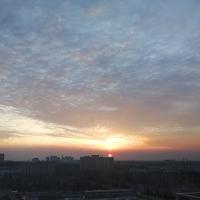 会飞的猪猪侠O头像